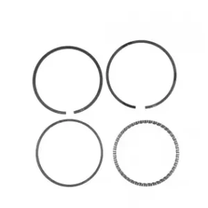 Set segmenti piston 4T motocoasa, Elefant Discount