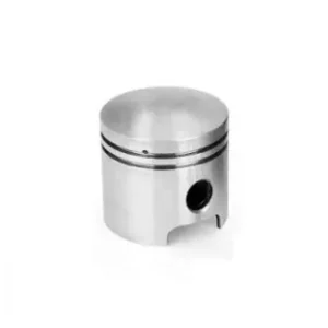Vezi acum Piston RURIS PSA103-1-29, pentru pulverizatorul Ruris A103