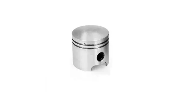 Piston RURIS PSA203-1-46, pentru pulverizatorul Ruris A203 Expediere rapidă