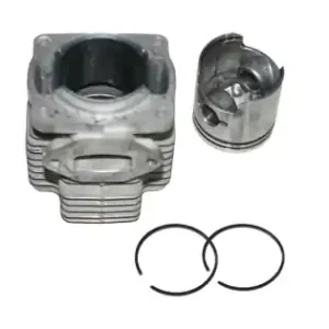 Set motor RURIS PSA103-1-66, pentru atomizor Ruris A102, A103, A103S, Hercules 100, 3WF 2.6, 3WF 2.7 Chilipir