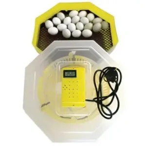 Cumpărături sigure Incubator electric pentru ouă cu termohigrometru Cleo 5