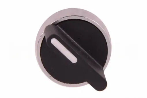 Plată sigură Selector 2 pozitii cu retinere SR-22PF ZB2BD2