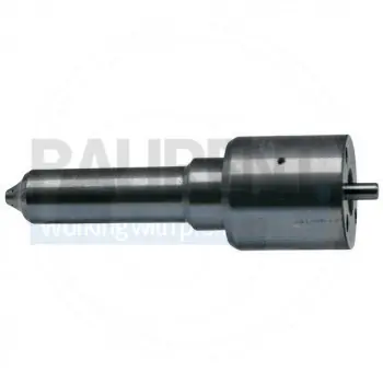 Livrare expres Duza injector Bosch 0433175341