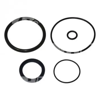Reducere extra Set garnituri hidraulice incarcator telescopic Merlo ROTO40.25MCSS