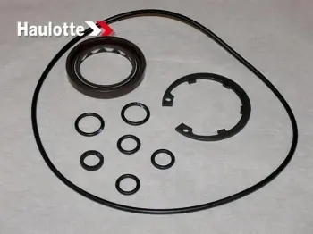 Ofertă Kit garnituri pompa nacela Haulotte HA18PX