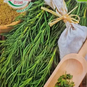 Disponibil imediat Seminte de ROZMARIN, se poate cultiva si in ghivece - 0.1 gr