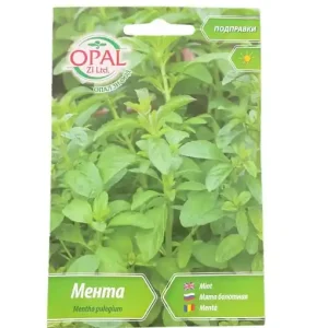 Seminte Menta - Soi Aromatic pentru Gradina, OPAL ZI - 0.15 gr Reducere extra