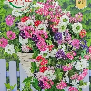 Cumpărături sigure Seminte Verbena Curgatoare, planta care infloreste continuu - 0.4 gr