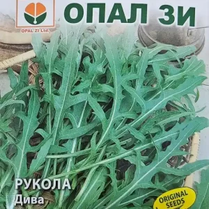 Seminte de RUCOLA DIVA, pentru semanat in sere tot anul - 1g Vezi acum