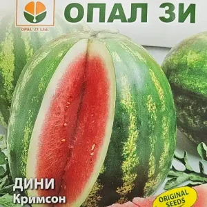 Cumpărături sigure Seminte de pepene rosu CRIMSON SWEET, productie de camp - 5 gr