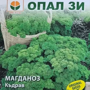 Seminte de PATRUNJEL CRET, un soi timpuriu productiv - 5 gr Ultima șansă