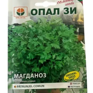 Seminte de Patrunjel Comun, soi cu productivitate ridicata - 5 gr Ofertă