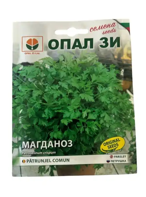 Seminte de Patrunjel Comun, soi cu productivitate ridicata - 5 gr Ofertă