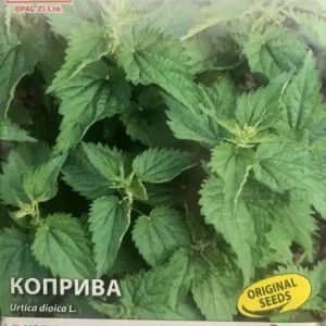Seminte Urzica Dioica - Pentru cultivarea plantei utile in gradina - 0,3g Promoție