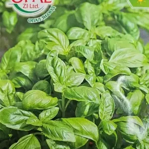 Seminte de BUSUIOC, folosit ca si condiment pentru mancaruri - 1 gr Ofertă de sezon