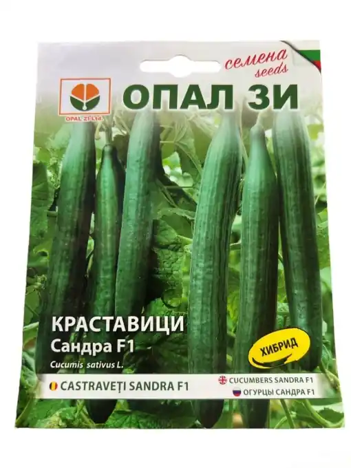 Cumpără acum Seminte de Castraveti SANDRA F1, soi hibrid foarte productiv - 1g