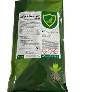 Popular Alge Marine - Concentrație 100% - GREEN MARINE PUDRA - 1KG
