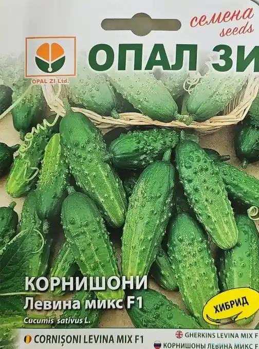 Seminte de Castraveti LEVINA MIX F1, soi hibrid timpuriu - 2G Super ofertă