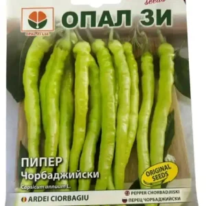 Super ofertă Seminte ardei semi iute CIORBAGIU, lungime 18-22 cm - 2g