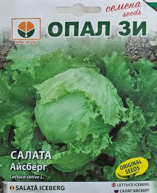 Preț redus Seminte de SALATA ICEBERG, soi foarte productiv cu marime medie - 2gr