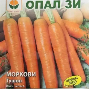 Seminte de MORCOVI TUSHON, soi cu lungime de 16-18 cm 10g Preferatul clienților