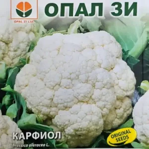 Seminte de Conopida ERFURTER, soi cu capatana alba, mare - 2g Ultima șansă