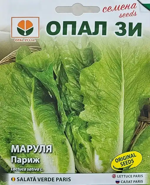Seminte de SALATA VERDE PARIS, soi cu crestere rapida - 2g Reducere specială