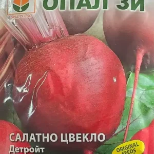 Seminte de SFECLA DE SALATA DETROIT, soi semitimpuriu - 5g Calitate înaltă