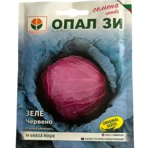 Expediere rapidă Seminte de VARZA ROSIE TOPAZ, soi semi-timpuriu foarte productiv - 5gr