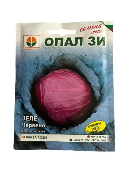 Expediere rapidă Seminte de VARZA ROSIE TOPAZ, soi semi-timpuriu foarte productiv - 5gr
