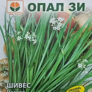 Seminte CHIVES, soi cu frunze goale pe dinauntru, tubulare - 2g Mai ieftin
