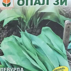Seminte de LEURDA, condiment cu miros usor de usturoi - 0,5g Livrare rapidă