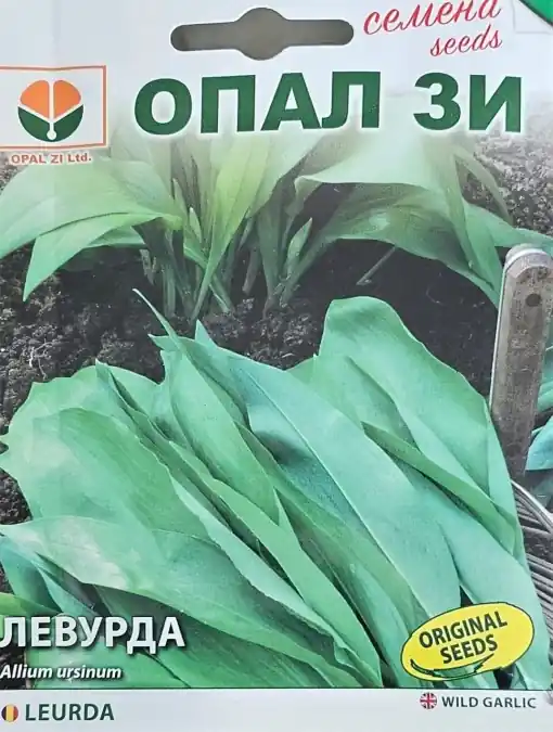 Seminte de LEURDA, condiment cu miros usor de usturoi - 0,5g Livrare rapidă