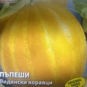 Cel mai vândut Seminte de pepene galben VIDINSKI KORAVTSI, soi semitimpuriu - 3 gr