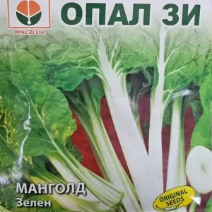 Preț promoțional Seminte MANGOLD VERDE, substiut excelent pentru spanac - 3g