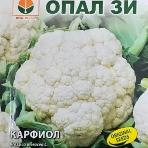 Ofertă de sezon Seminte de Conopida SNOWBALL, soi cu capatana alba, mare - 2g