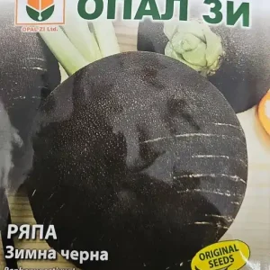 Seminte de Ridiche neagra de iarna, diametru 10-12 cm - 5 gr Cumpără online