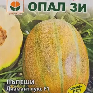 Ofertă specială Seminte de Pepeni Diamant Lux F1, marimea fructelor intre 1,8-3,5 kg - 1 gr