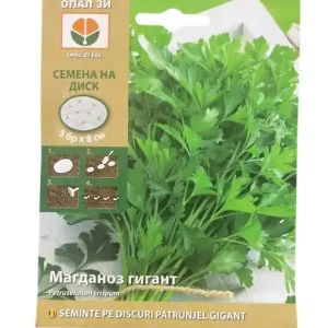 Super ofertă Seminte pe Discuri Patrunjel Gigant - Cultivare Usoara, OPAL ZI