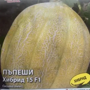 Cel mai vândut Seminte de Pepene Galben HIBRID 15, soi rezistent la mana - 1 gr