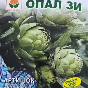 Ultima șansă Seminte de ANGHINARE, gust asemanator cu prazul si telina - 1 gr