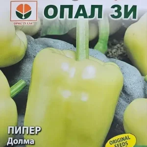 Disponibil imediat Seminte de ARDEI SOROKSARI (DOLMA), pentru cultivare semi-timpurie - 1g