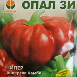 Ofertă Seminte Gogosar Boliarska Kamba: Pentru O Recolta Bogata - 1g