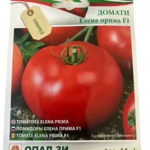 Seminte hibrid de tomate (rosii) TOMATE ELENA PRIMA F1 - 0.2 gr Ofertă