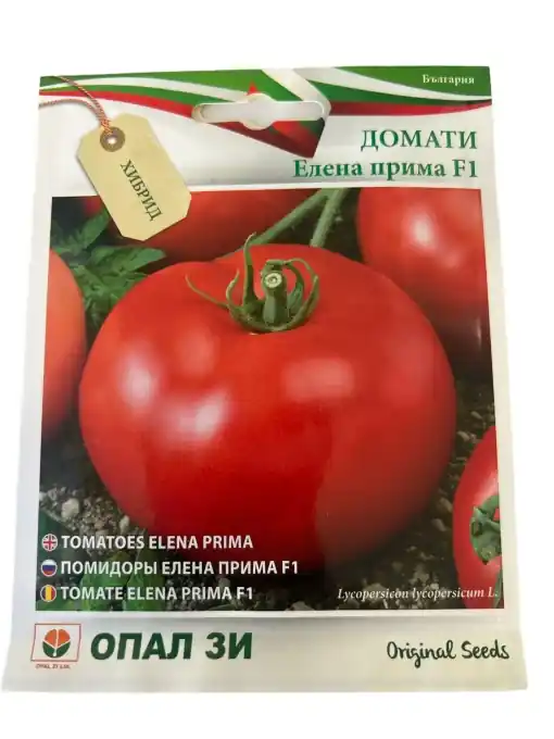 Seminte hibrid de tomate (rosii) TOMATE ELENA PRIMA F1 - 0.2 gr Ofertă