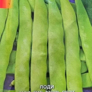 Preț mic Seminte de Fasole de Gradina LODI, cu boabe albe mari - 40gr