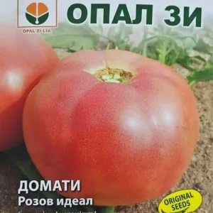 Disponibil imediat Seminte (rosii) Tomate BG IDEAL ROZ, rezista la temperaturi extreme - 0.2 gr