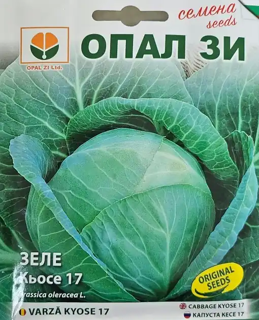 Seminte de VARZA KYOSE 17, soi pentru productie tarzie - 5 gr Plată securizată