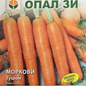 Comandă acum Seminte de MORCOVI TUSHON, soi cu lungime de 16-18 cm 5g