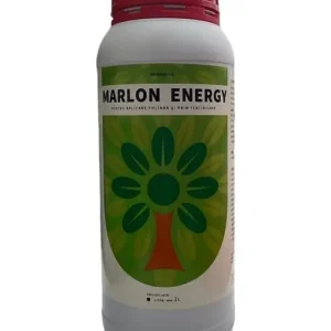 Reducere extra Aminoacizi Absorbție Rapidă - MARLON ENERGY